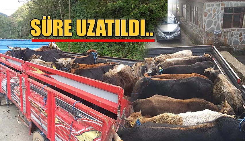 Hayvanların Kayıt Altına Alınma Süresi Uzatıldı