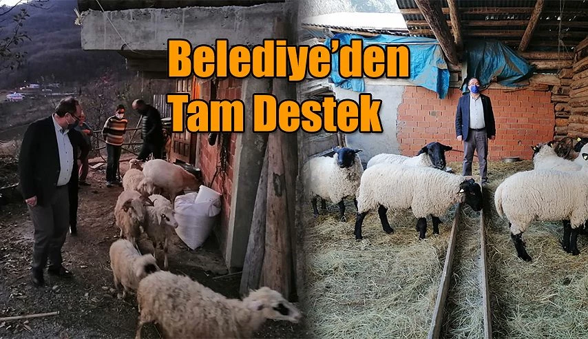 KÜÇÜKBAŞ HAYVANCILIĞA TAM DESTEK!