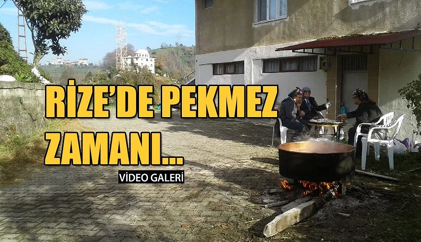 Şimdi PEKMEZ yapma zamanı