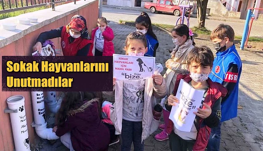 SOKAK HAYVANLARI İÇİN YEM VE EKMEK BIRAKTILAR