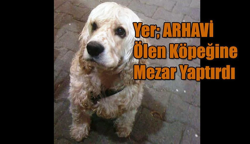 ARHAVİ’Lİ AYDIN ÇAKAR’DAN VEFA  Ölen Köpeklerine Mezar Yaptılar.