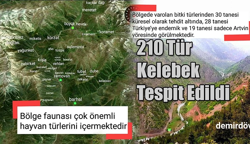 BARHAL VADİSİ VE KAÇKAR DAĞLARI MİLLİ PARKI ADETA KELEBEKLER VADİSİDİR