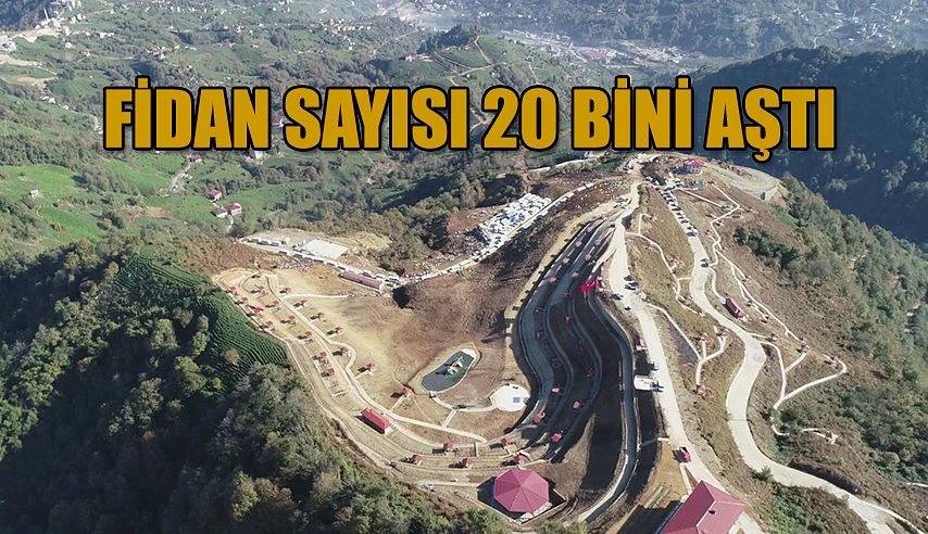 FİDAN SAYISI 20 BİNİ AŞTI