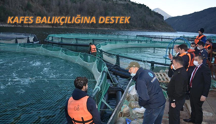 KAYMAKAMINDAN KAFES BALIĞI ÜRETİCİLERİNE ZİYARET