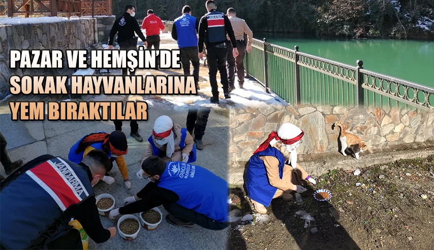 Pazar Gençlik Merkezi Sokak Hayvanlarını Unutmuyor