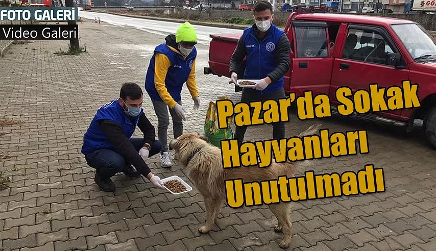 Pazar’da Sokağa Çıkma Kısıtlamasında Sokak Hayvanları Unutulmadı