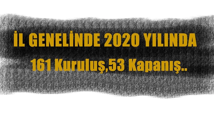 2020’ DE 161 KURULUŞ GERÇEKLEŞTİ