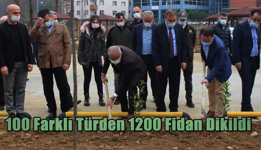 Fidan Dikme Etkinliği