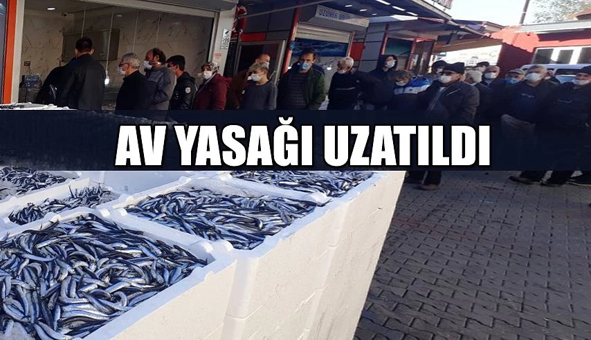 HAMSİDE AV YASAĞI UZATILDI