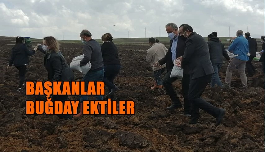 BELEDİYE BAŞKANLARI HANAK’TA BUĞDAY EKTİ