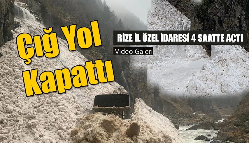 Rize