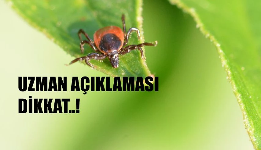 AÇIK ALAN TEHLİKELERİNE DİKKAT