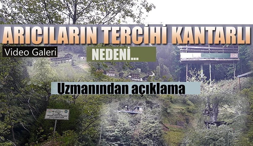 Balcıların vaz geçemediği “Kantarlı Vadisi”