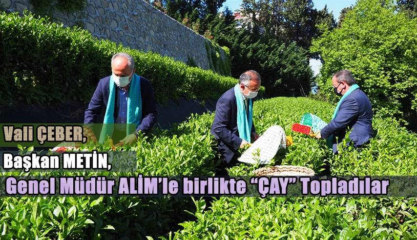 Çay Bizim En Önemli Değerimiz