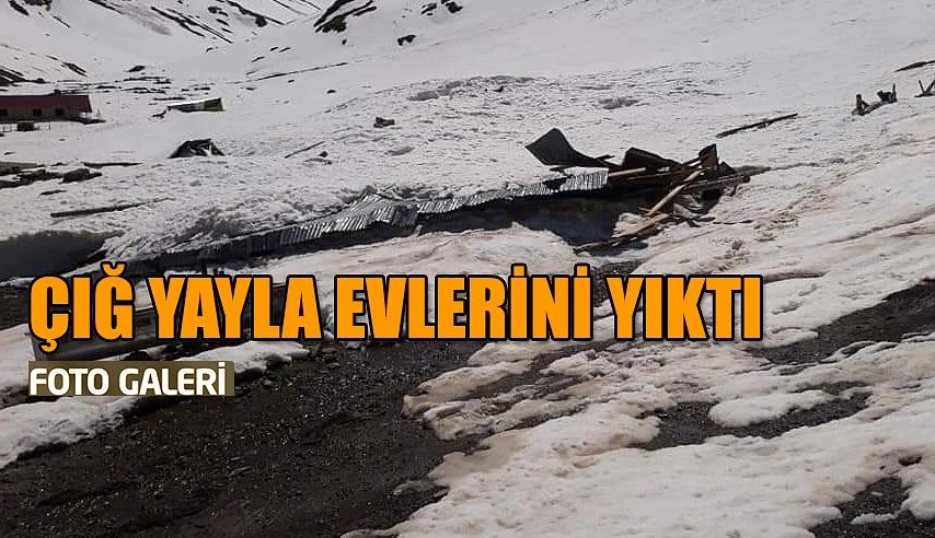 Çığ Yayla Evlerini Yıktı