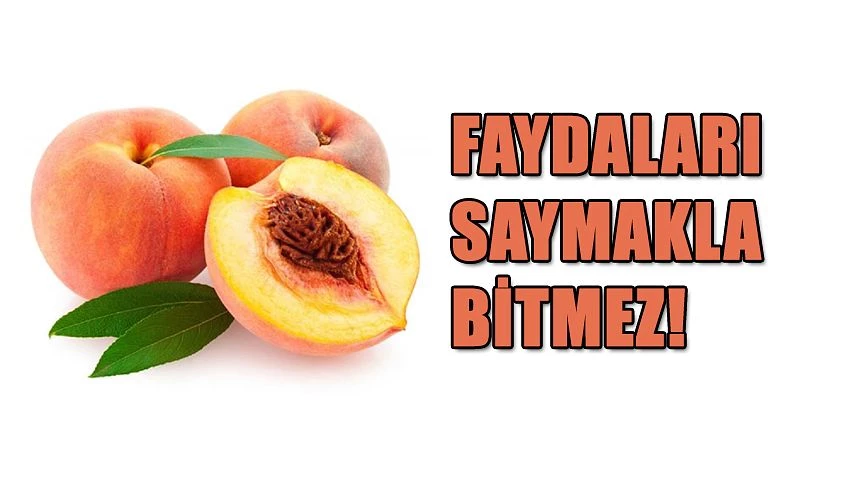 FAYDALARI SAYMAKLA BİTMİYOR !