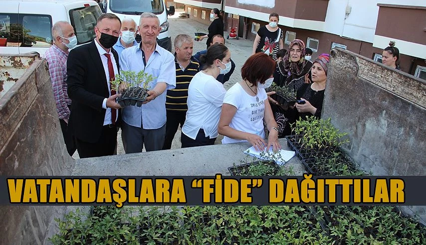 FİDELER VATANDAŞLARLA DAĞITILDI