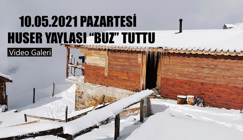 Huser “BUZ” tuttu