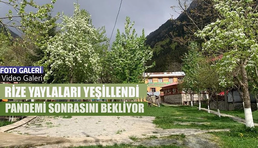 Rize’nin Yaylaları Yeşillendi, Pandemi Sonrasını Bekliyor