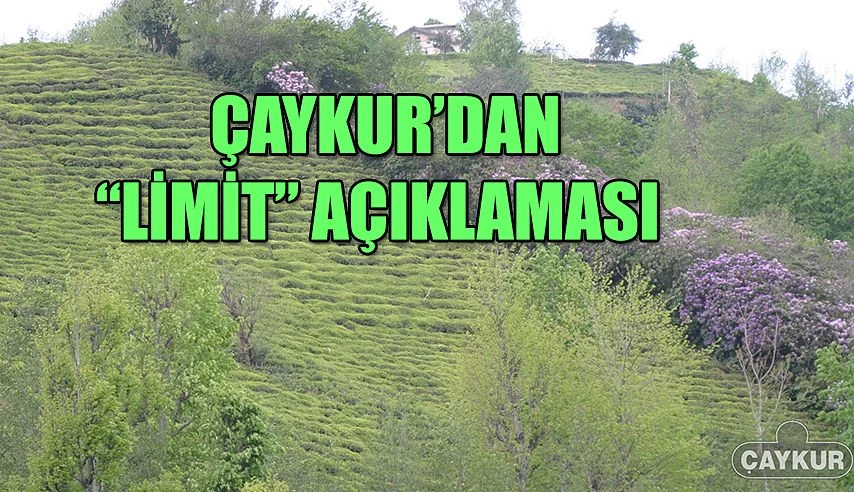 ÇAYKUR " Limitler artarak alımlar devam edecek