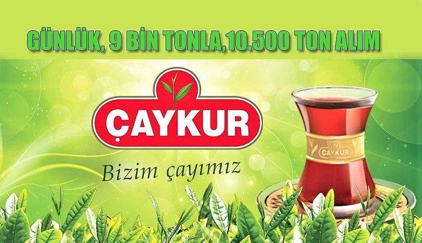 ÇAYKUR’DAN YAŞ ÇAY ALIMLARIYLKA İLGİLİ BİLGİLENDİRECİ AÇIKLAMA