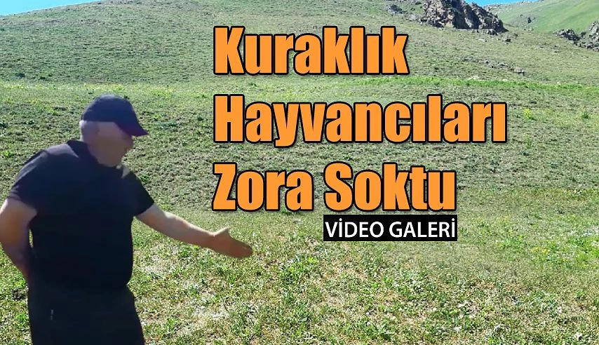 Meralarda Otlar yandı. Hayvancılık zora girdi.