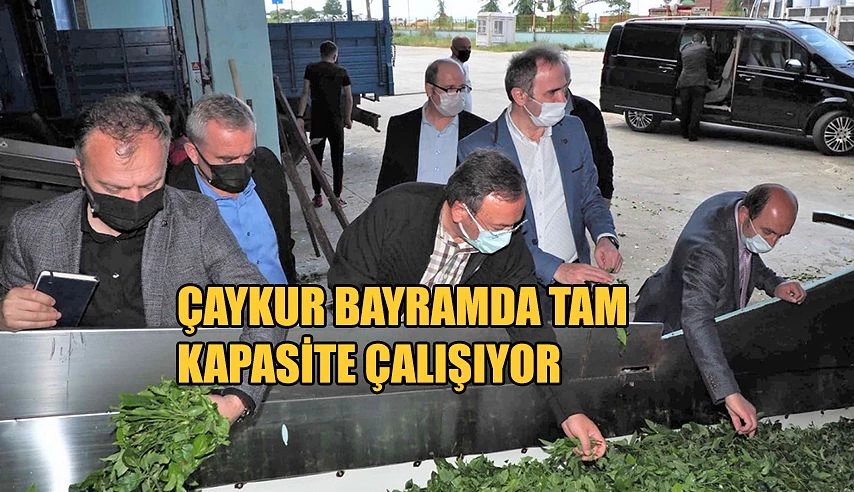 ÇAYKUR BAYRAMDA’DA TAM KAPASİTE YAŞ ÇAY ALIMLARINA DEVAM DİYOR