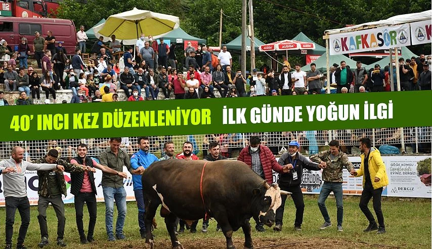 KAFKASÖR BOĞA GÜREŞLERİNİN İLK GÜNÜ SONA ERDİ