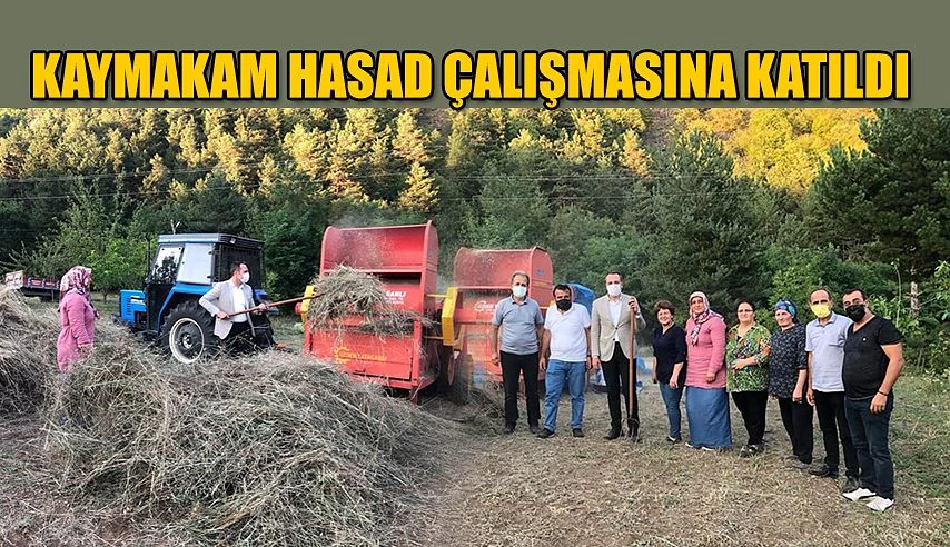 KAYMAKAMI ÖZAYDİN HASADA KATILDI