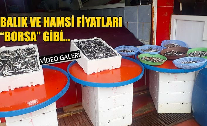 Balık fiyatları “BORSA” gibi…