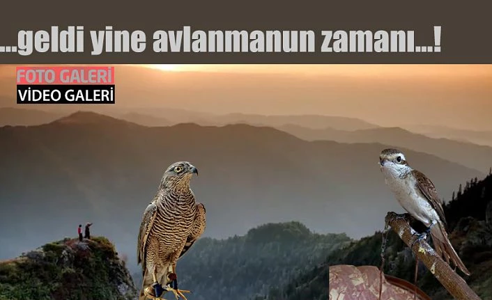 Geldi Yine Avlanmanın Zamanı