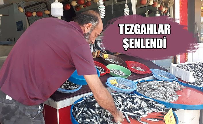 Havaların soğumaya başlamasıyla Doğu Karadeniz’de tezgâhlarda şenlendi.