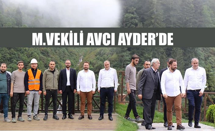 Milletvekili Avcı Ayder’de