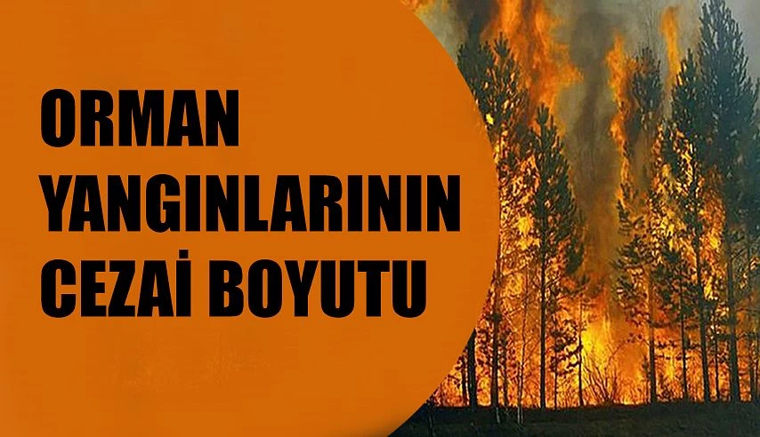 ORMAN YANGINLARININ CEZAİ BOYUTU