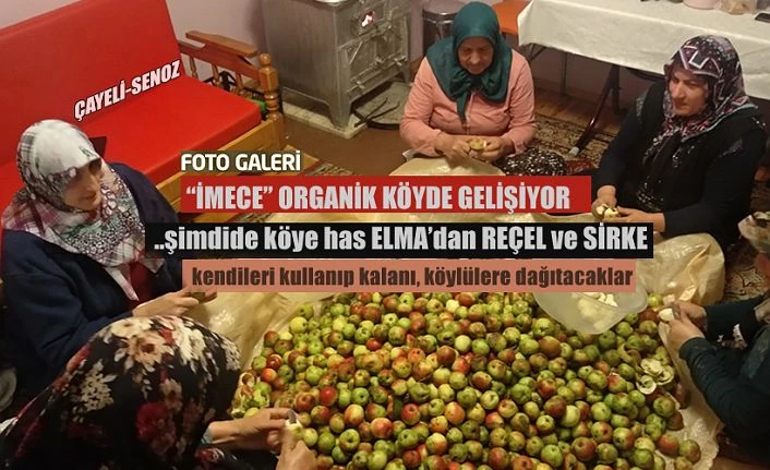Rize