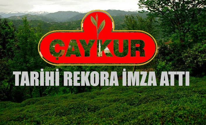 ÇAYKUR 851 BİN TON YAŞ ÇAY ALIMIYLA TARİHİ BİR REKOR KIRDI