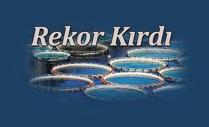 KARADENİZ SOMONU İHRACAT REKORU KIRIYOR