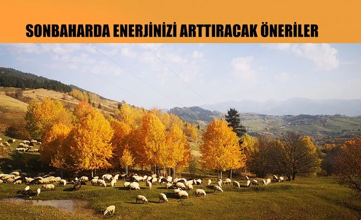 SONBAHARDA ENERJİNİZİ ARTTIRACAK ÖNERİLER