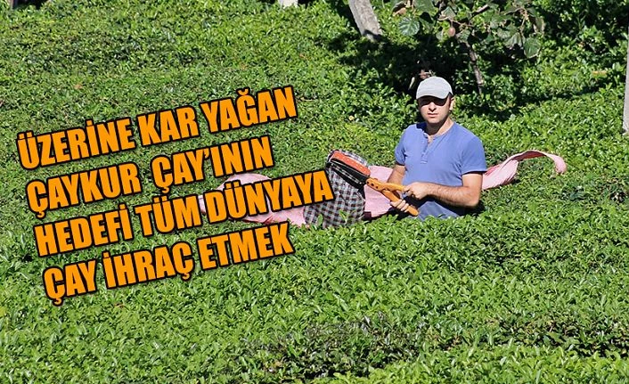 ÇAYKUR AZERBAYCAN PAZARINDA