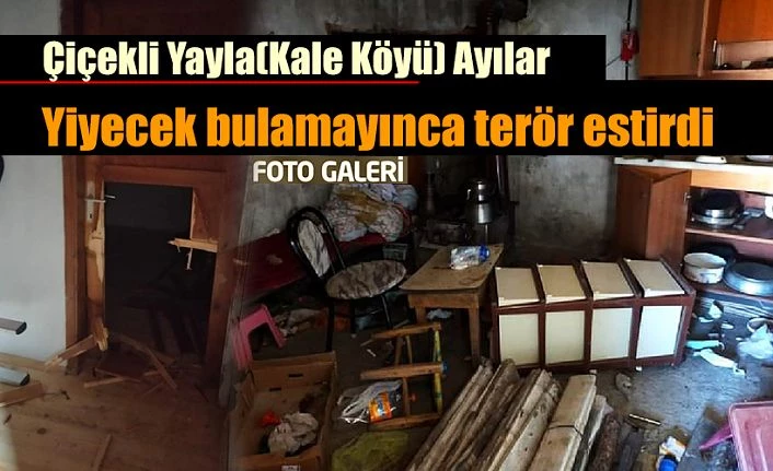 Çiçekli Yayla Kale köyünde ayılar evlere saldırdı