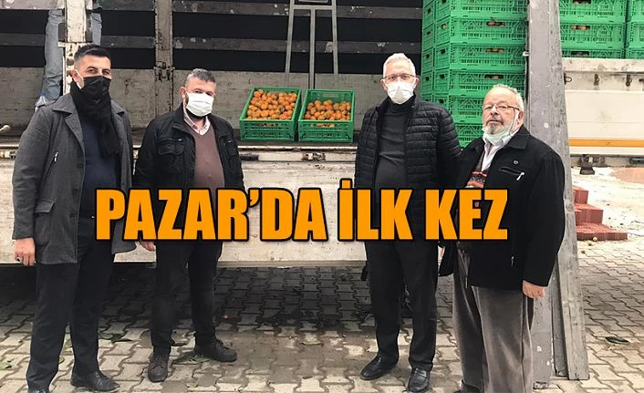 Pazar ilk defa Mandalina alımı yapıldı.