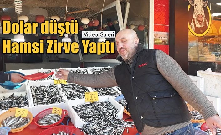 Hamsi Gram Altın ve Dolarla yarışıyor.