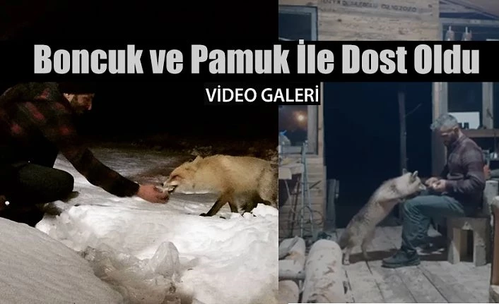 Pamuk ve Boncuk ile 5 ay önce arkadaş oldu