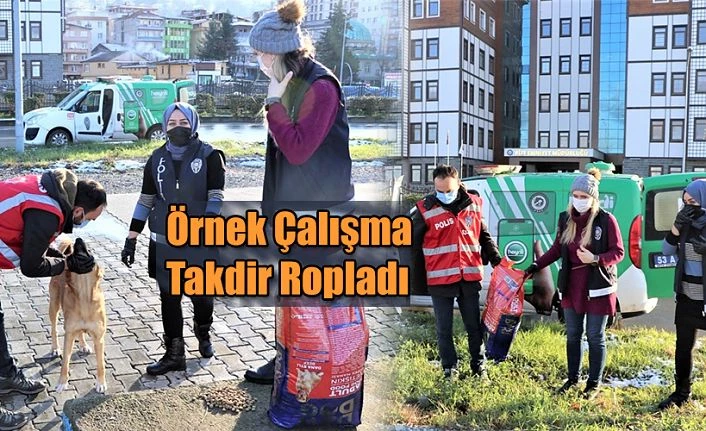 RİZE İL EMNİYET MÜDÜRLÜĞÜNDEN SOKAK HAYVANLARINA DESTEK