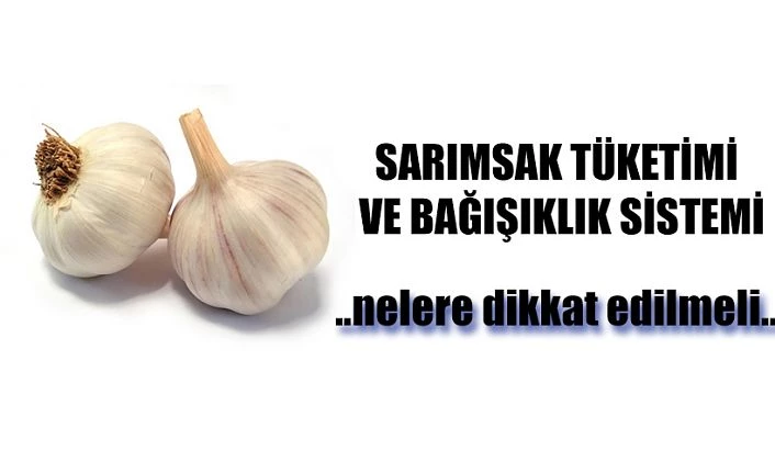 SARIMSAK TÜKETİMİ BAĞIŞIKLIK SİSTEMİNİN GÜÇLÜ OLMASINA KATKI SAĞLAR MI?