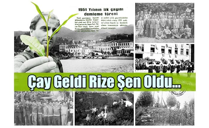 ÖNCE ÇAY BAYRAMLARI SONRA ÇAY DEMLEME GÜNLERİ