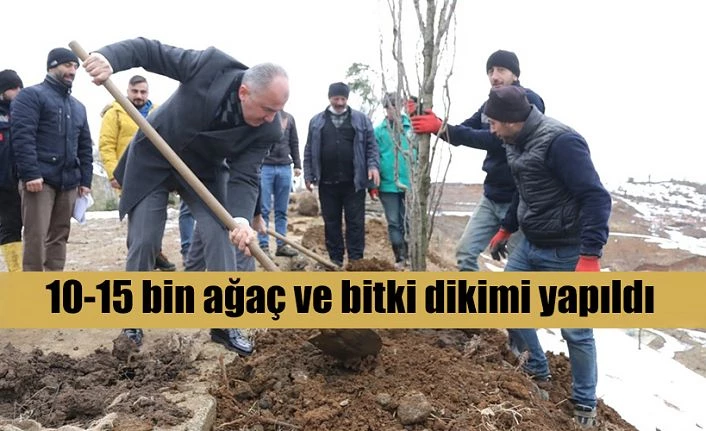 Başkan Ağaç Dikti..