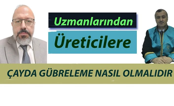 Uzmanlarından "ÇAY" Gübreleme Teknikleri