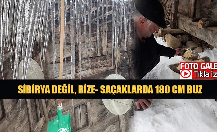 Aç Kalan Kuşları yemledi.