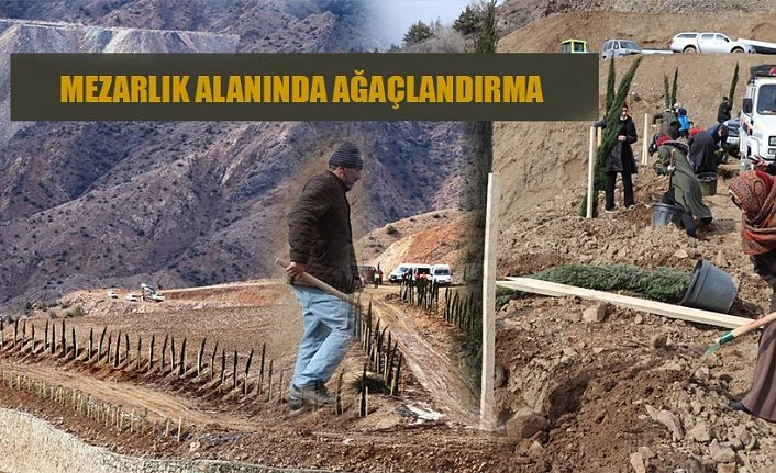 Ağaçlandırma programı düzenlendi.